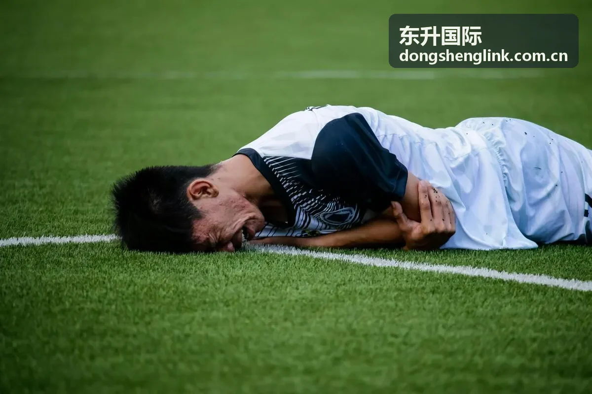 东升国际APP移动端服务界面